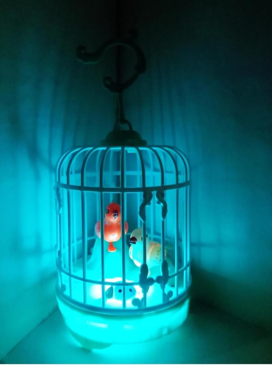 Musical Light Mini Bird Cage Toy For kid's